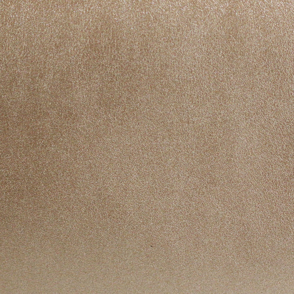 【限定商品】LT.ミディアム.レザレット.RTG-A / 188