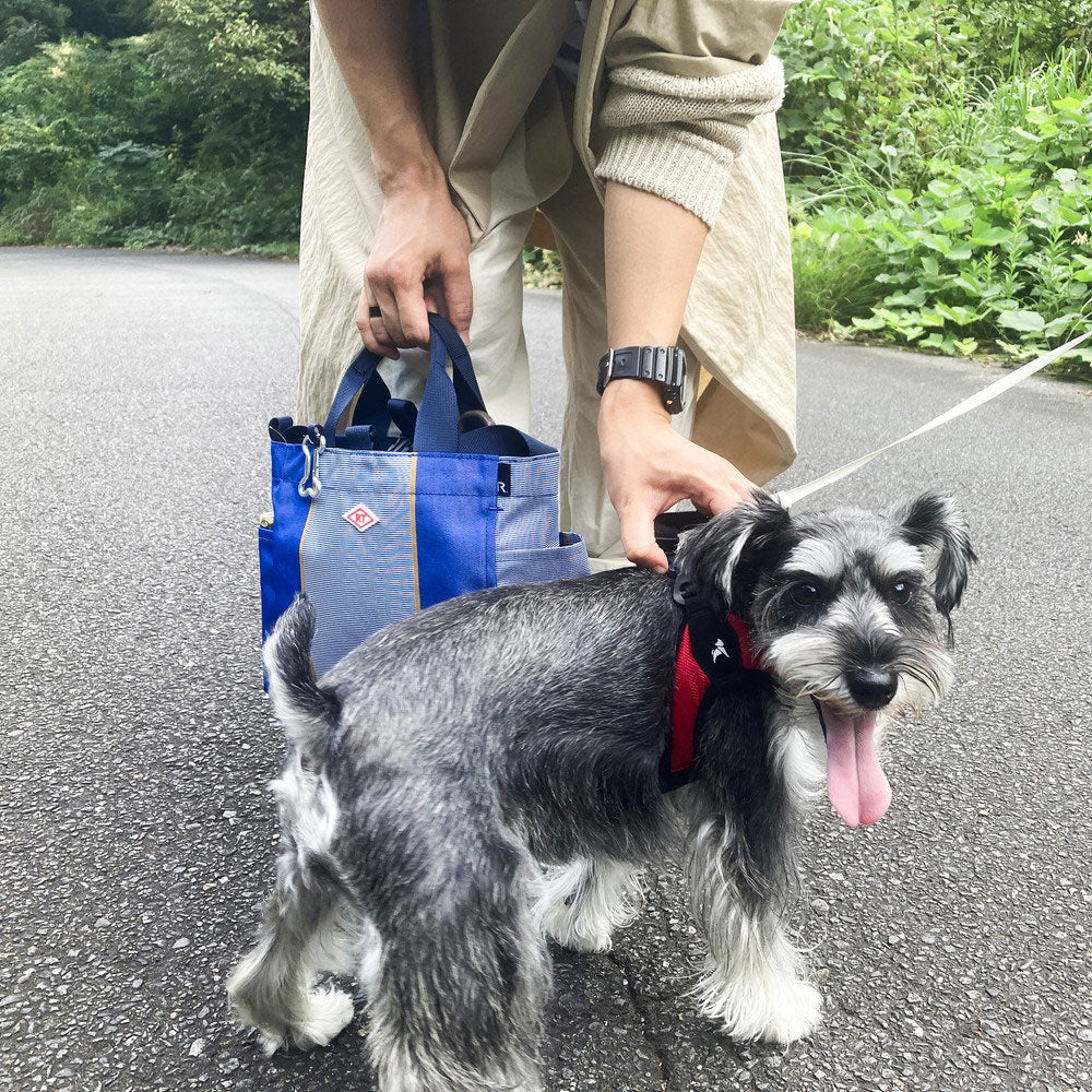 SN.スクエア.DOG.BUDDY-B / 1129