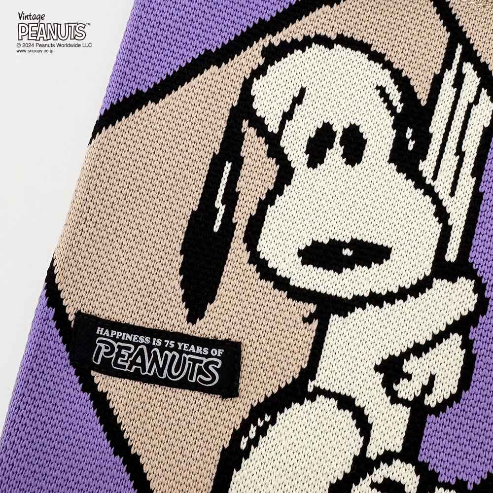 【PEANUTSコミック誕生75周年記念商品】IP.ベビールー.Peanuts-9T / 8409