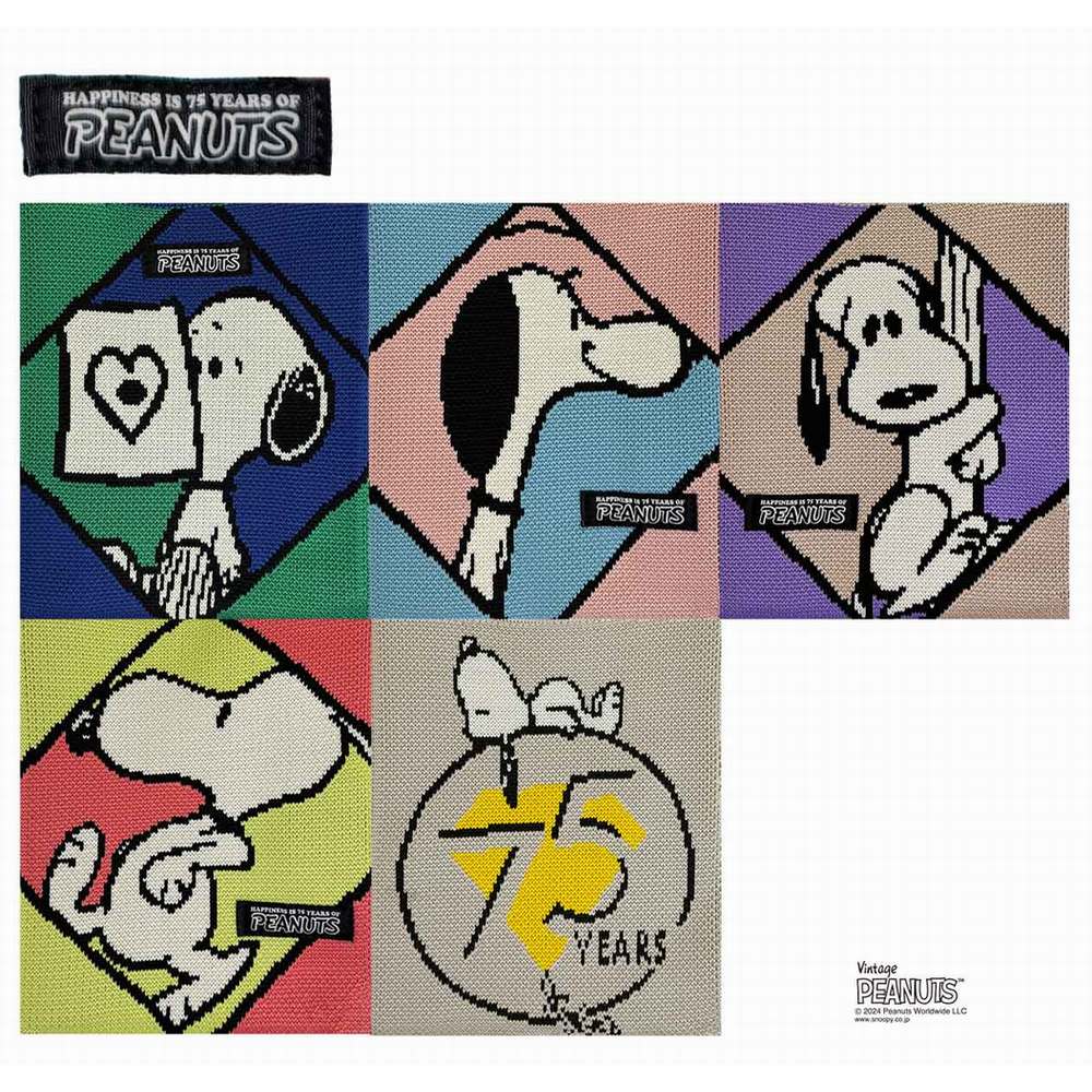 【PEANUTSコミック誕生75周年記念商品】IP.ベビールー.Peanuts-9T / 8409