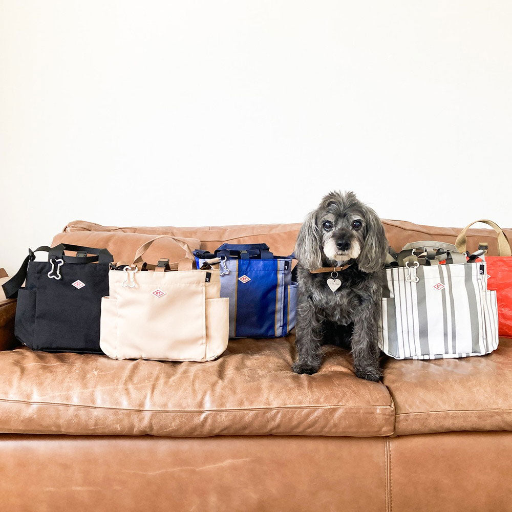 SN.スクエア.DOG.BUDDY-B / 1129 – ROOTOTE FLAGSHIP STORE