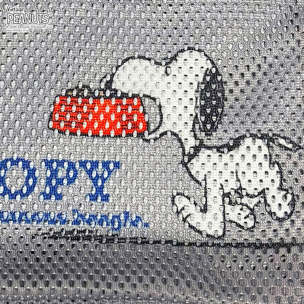 IP.スクエア.BUDDY.ピーナッツ-1E / 8508